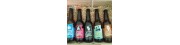 Pack of Ecologic Craft Beer Celebridade Galega  (Box)