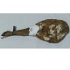 Paleta Ibérica de Bellota 100% ibérica Ecológica de Huelva  Dehesa Maladúa